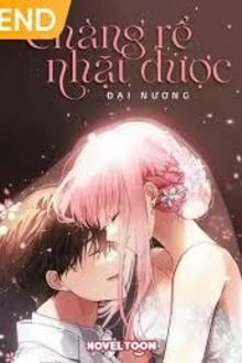 Chàng Rể Nhặt Được