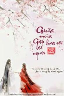 Giữa Mùa Hoa Rơi Gặp Lại Người