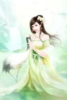 Vương Phi Cường Hãn
