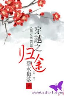 Xuyên Việt Chi Quy Đồ