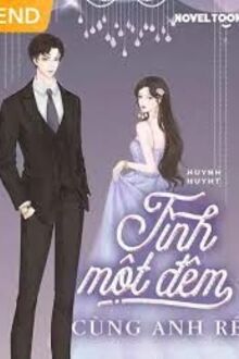 Tình Một Đêm Cùng Anh Rể